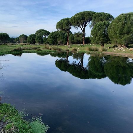 El Refugio De Felix Villa Sotillo de la Adrada Eksteriør bilde
